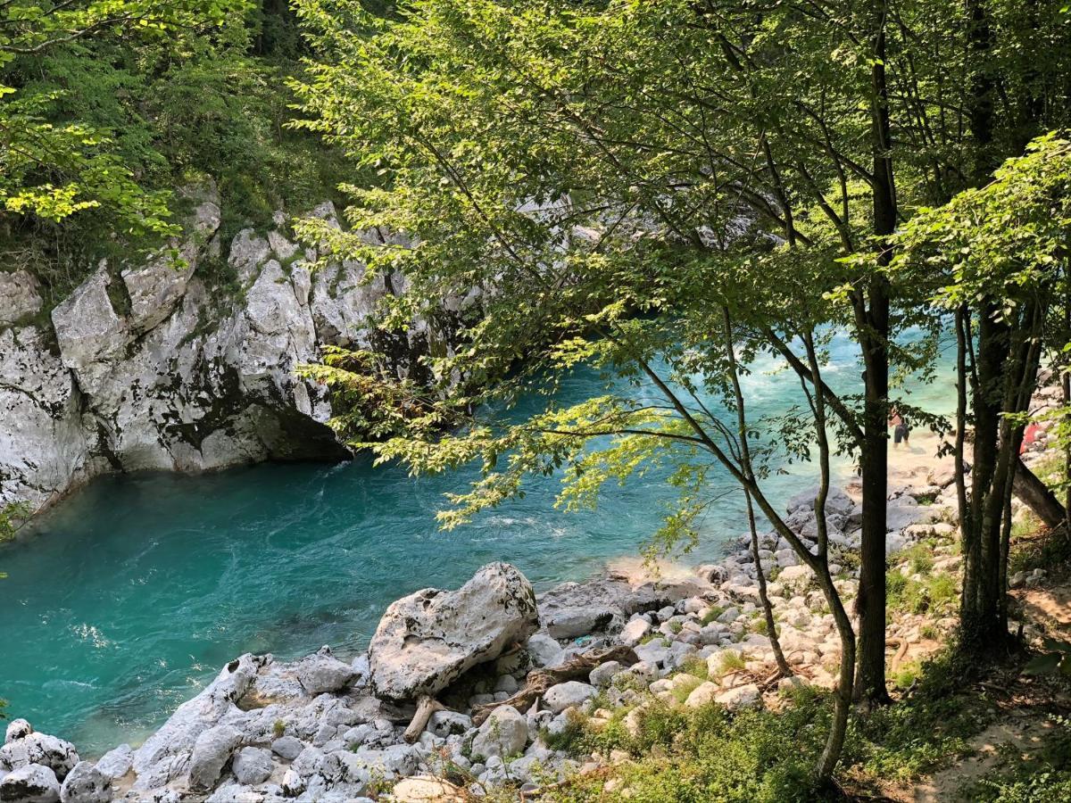 Tourist Farm Zvanc コバリード エクステリア 写真